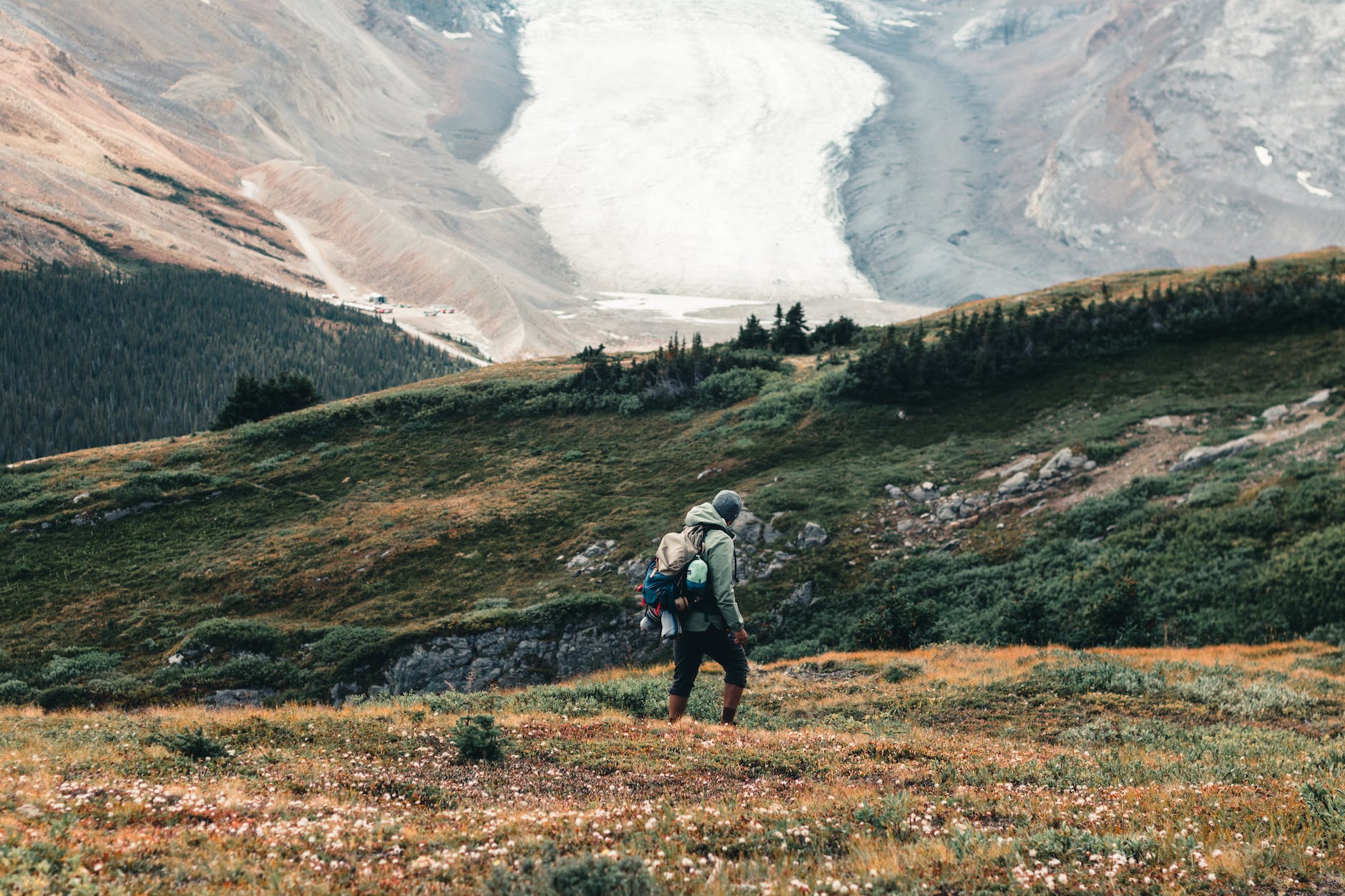 person in black jacket walking on green grass field